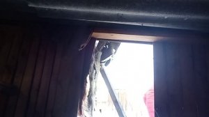 Дома шконике снимать