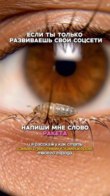 Подробности в шапке профиля! смотреть онлайн