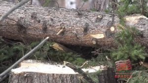 Удовлетворены иски прокурора Братского района о взыскании в бюджет более 1,8 млн рублей