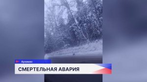 В ДТП под Арзамасом погибли 3 сотрудника Корпорации развития промышленности и предпринимательства