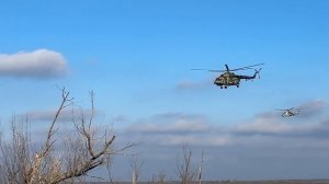 Наши соколы