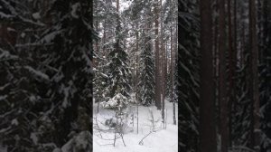 №104 Чистка многомерной структуры