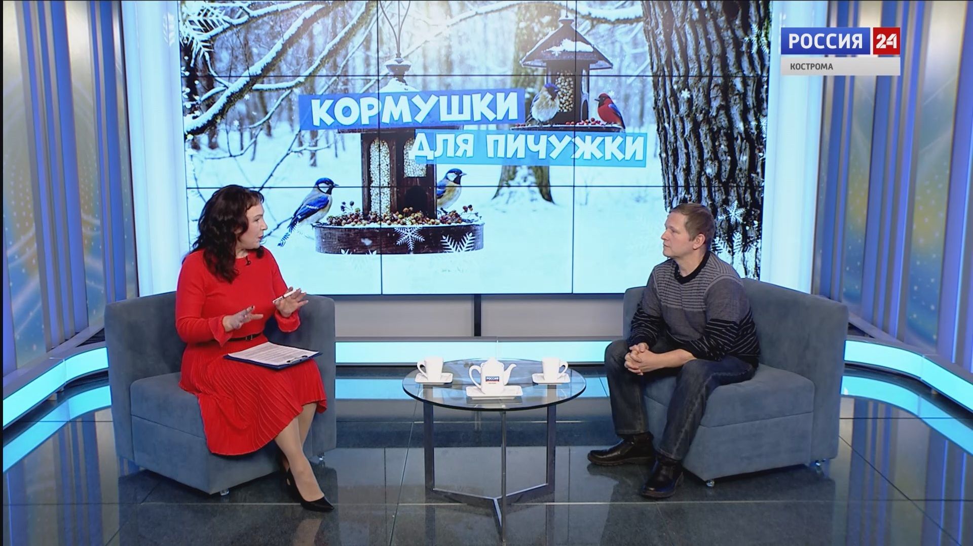Костромичам объяснили, как и зачем кормить птиц зимой смотреть онлайн
