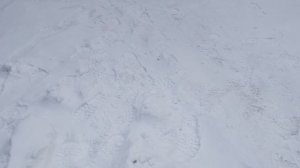 Не могу уехать на работу подперли на парковке машину