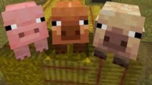 муйнкруфт 4 очень много кроватей