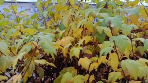 #разные времена года как они красивы