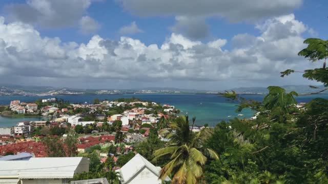 294. Мартиника