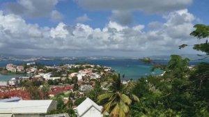 294. Мартиника