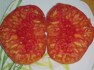 Каталог томатов на 2026 год. Новинки 2025 года. Часть 6. г. Киров   т.89229284031