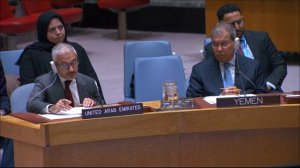 Statement by Permanent Representative Vassily Nebenzia at a UNSC Briefing on Yemen
