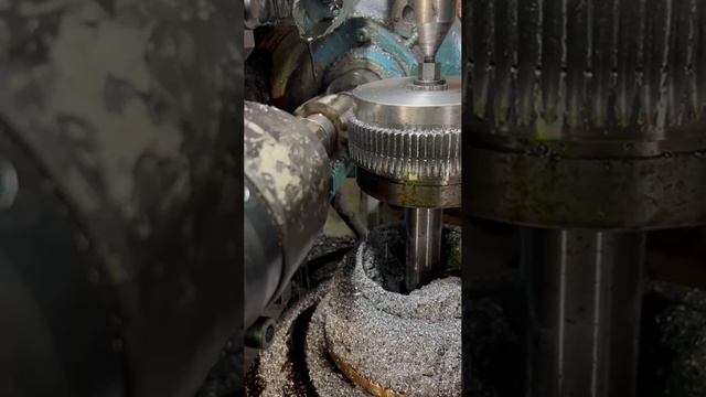 video5438369417912162235