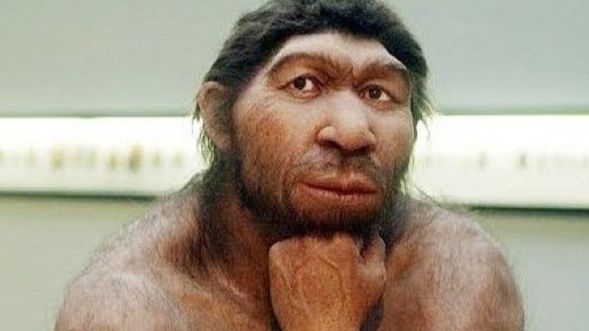 Дробышевский. Чёрные неандертальцы смотреть онлайн