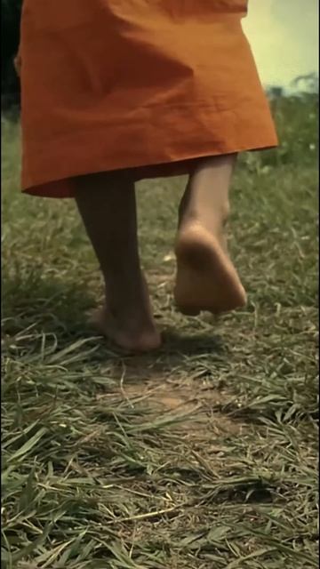 Туристка приехала в буддийский храм в Таиланде и пропала. смотреть онлайн