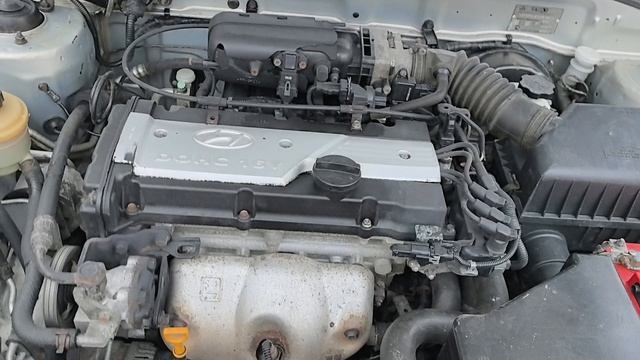 VID_20260121_095626.mp4 смотреть онлайн