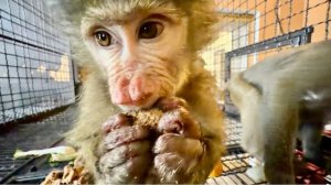 Анфиса ПРЕКРАСНО ВЛИЛАСЬ в компанию, поэтому сегодня она ОСТАЕТСЯ НОЧЕВАТЬ СО ВСЕМИ!