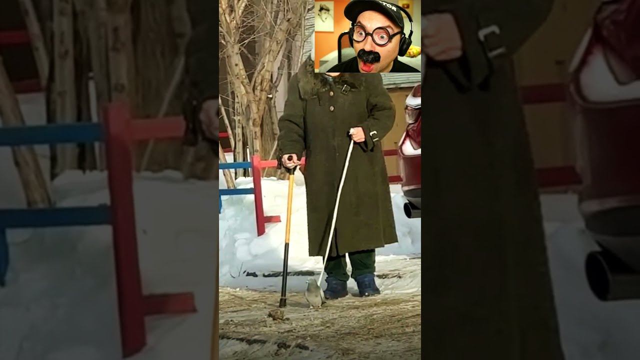 Выгуливает голубя смотреть онлайн