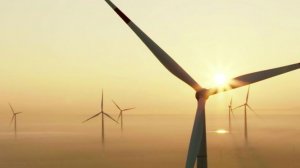 Трамп: ветряные электростанции стали причиной энергетического коллапса в Европе