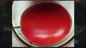 Минусинские сорта томатов. Часть 2.  г. Киров.  т. 89229284031