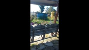 Продается уютная дача в СНТ "Тепловозник", станция Садовая!