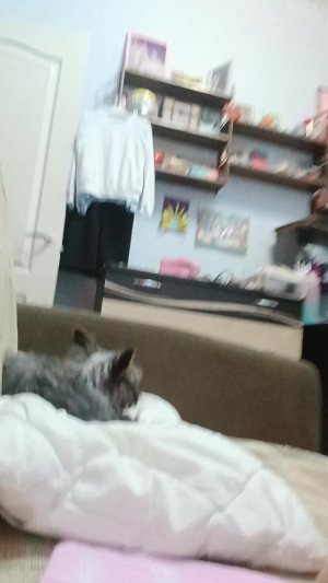 привет 😄 всем