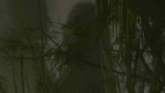 IMG_9079 смотреть онлайн