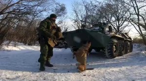 Доброволец с собакой обезвредили 100 взрывных устройств в зоне СВО