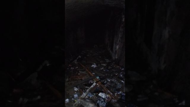 Пришли в бунекр смотреть онлайн