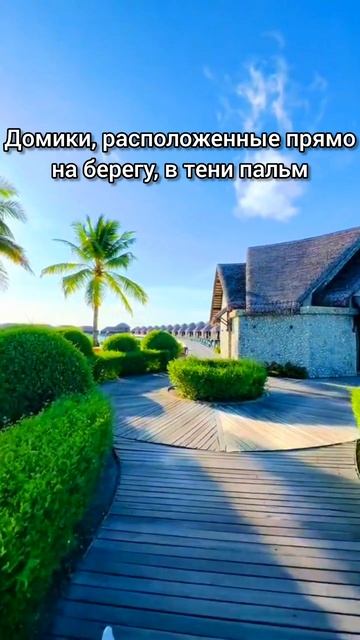 ❤️МАЛЬДИВЫ 2026👉 3 основных ВИДА вилл/домиков для отдыха смотреть онлайн