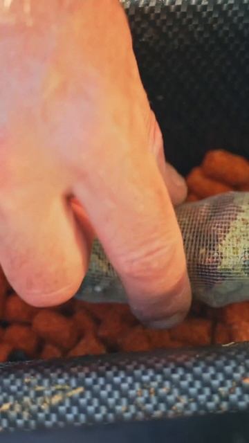 ХОТИТЕ УЗНАТЬ ГАРАНТИРОВАННЫЙ СПОСОБ ПОЙМАТЬ РЫБУ? смотреть онлайн