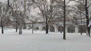 Зимние зарисовки. Москва. В парке. Голуби. Акведук. Снег. Январь 2026