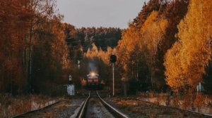 Подобное было недавно - стихи Виктора Левашова, Ярославль.