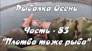Рыбалка Осень. Часть - 85. "Плотва тоже рыба".