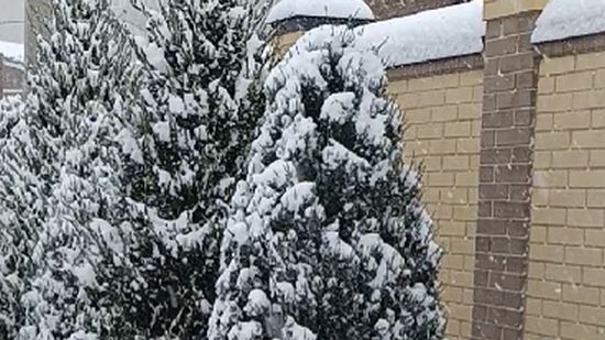 В Таганрог пришла зима смотреть онлайн