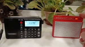 Qodosen на подсосе у Звездочки