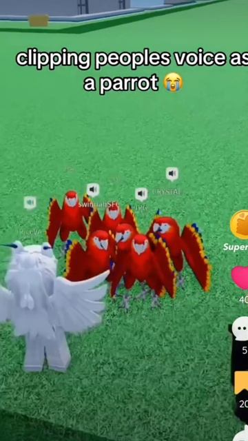 прочейте опис видео пжж смотреть онлайн