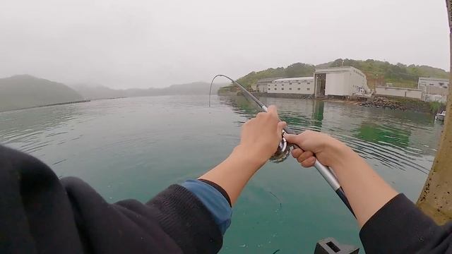 Эта рыбалка потрясающая, крупная рыба так и ныряет под ступеньки набережной смотреть онлайн