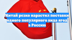 Китай резко нарастил поставки одного популярного вида ягод в Россию