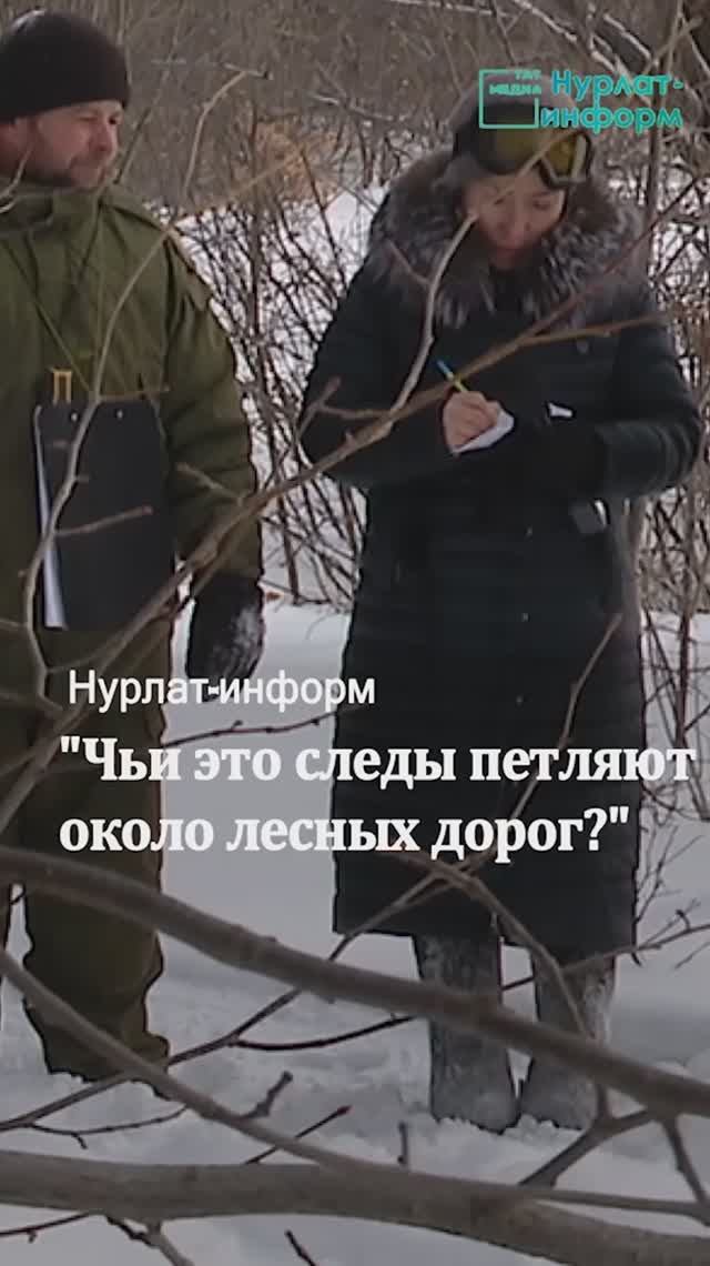 Не Маша и Медведь, а егеря на буранах смотреть онлайн