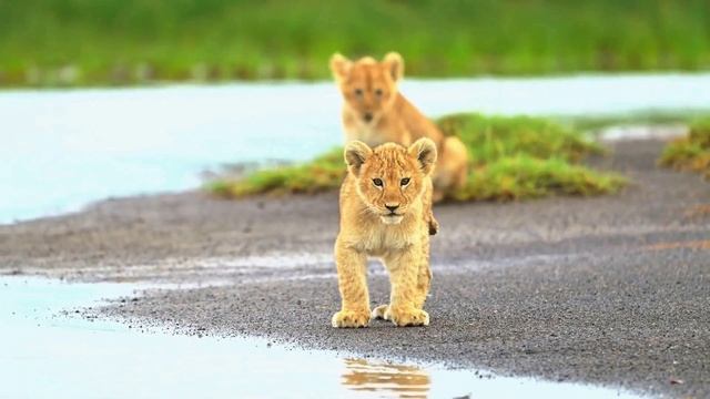 Красивая природа смотреть онлайн