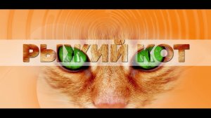 Рыжий кот-21.01.2026