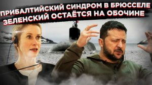 ЕС охватила "белочка": Каллас ищет русских в Гренландии, Зеленский мечется в панике