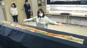 8000 лет на территории РОССИИ было спрятано НЕЧТО необъяснимое.