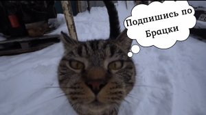 Чищу эвакуатор одной левой, впереди поездка за крутой тачкой!