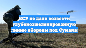 ВСУ не дали возвести глубокоэшелонированную линию обороны под Сумами