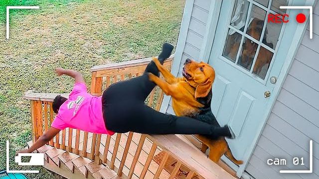 Попробуй не засмеяться 😁🤣🤣🤣 смотреть онлайн