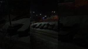 Флоризель топчик 👍