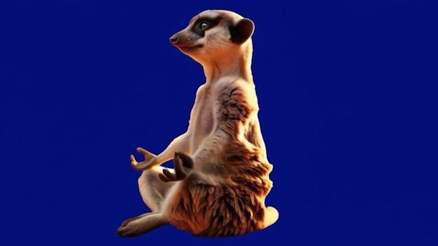 Я спокоин. Моё тело отдыхает. 02_encoded смотреть онлайн