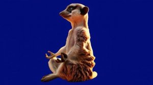 Я спокоин. Моё тело отдыхает. 02_encoded