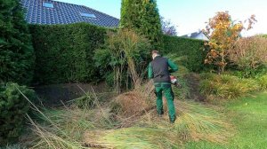 Кусторез. Стрижка пампасной травы