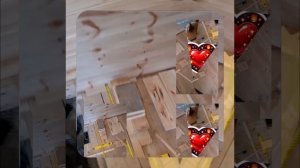 1000046690.mp4 (Собака наблюдает за устройством лестницы на 2 этаж в доме А-фрейм)